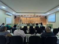 Câmara Municipal de Demerval Lobão recebe novas proposições legislativas em sessão ordinária